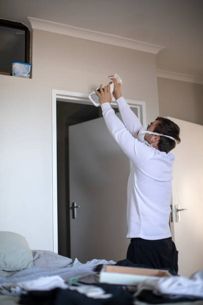 Best Water Damage & Mold Remediation  in Cheyenne, WY