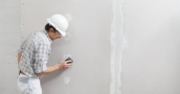 Best Mold Remediation for Healthcare Facilities  in Cheyenne, WY