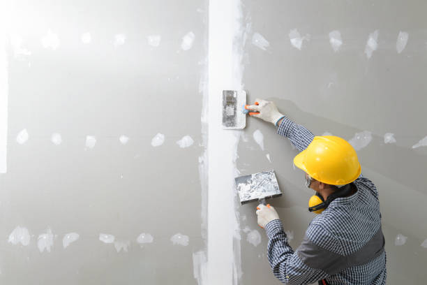 Best Mold Documentation for Insurance Claims  in Cheyenne, WY