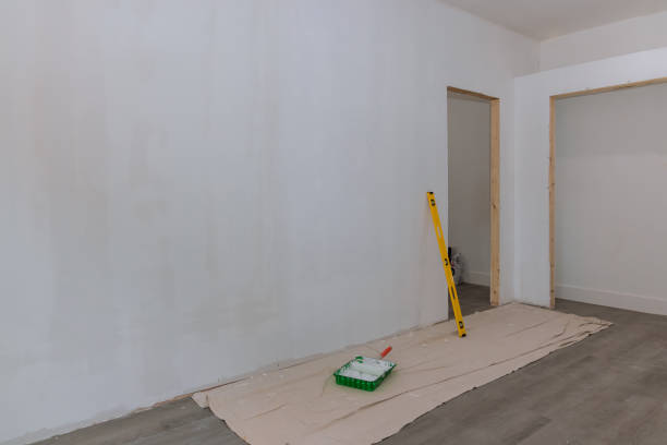 Best Basement Mold Removal  in Cheyenne, WY
