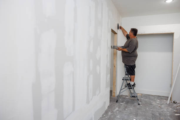 Best Mold Removal for HVAC Installations  in Cheyenne, WY
