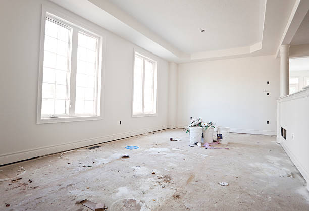 Professional Mold Removal in Cheyenne, WY