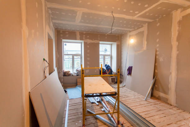Best Attic Mold Removal  in Cheyenne, WY